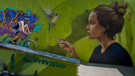 В кадър: Sofia Urban Art превърна подлеза до Южния парк в разказ за природата