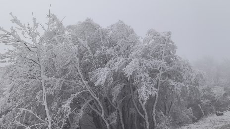И в сряда студ, до края на седмицата - слънчево