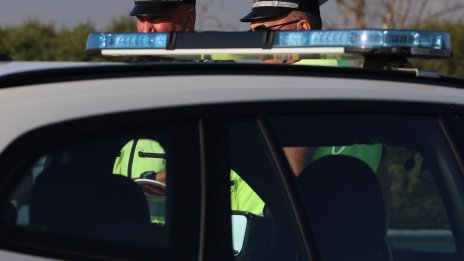 Арестуваха 11 души за поставяне на свински глави пред джамии във Франция