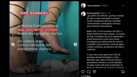 По BG сигнал в Бразилия: Разбит канал за видеа с насилие над деца и животни