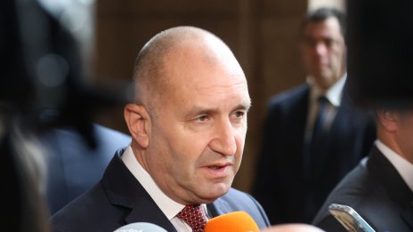 Ако Румен Радев се явява на избори, трябва да вземе готова партия