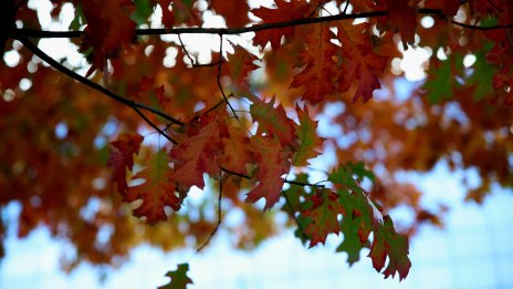 Слънчево ще е утре, в низините денят ще остане мъглив