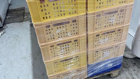 Откриха над 28 тона кисело зеле с изтекъл срок в склад в София