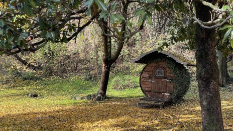 Сутрешни мъгли ни чакат във вторник, времето през деня – тихо и приятно