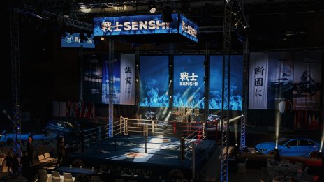 Бойната карта на SENSHI 29: Предстои епичен финал на 2025 г.