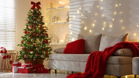Истинско или изкуствено коледно дърво?