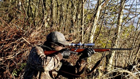 Стрелят по домашни кучета в Русенско 