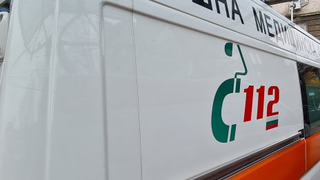 Бик стъпка и уби работник в кравеферма в димитровградско село