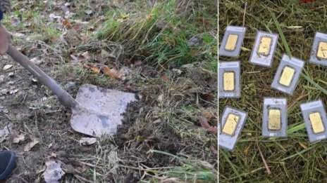 Mъж откри златни кюлчета, докато коси тревата в двора си 