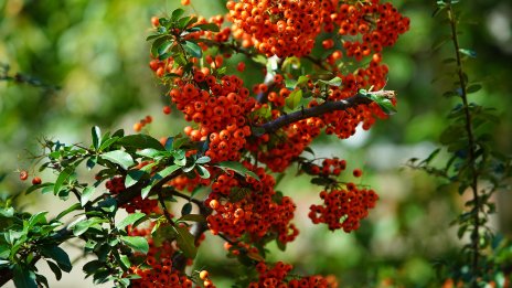 Слънчево ще е днес, температурите ще са до 22°