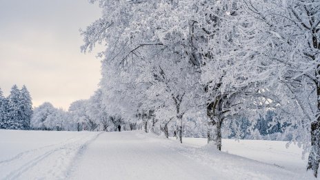 Зимните дни с температури под нулата в Европа намаляват