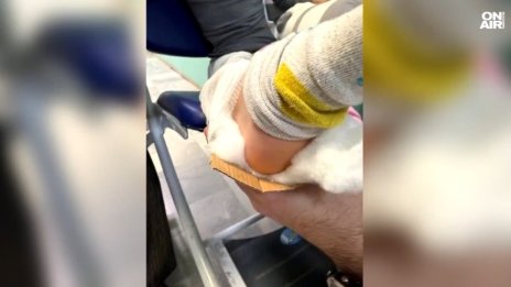 Пълен абсурд: Обездвижиха счупен крак на 6-годишно с кутия за пица ВИДЕО