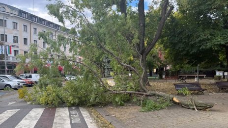 Ураганен вятър в Сливен рани мъж и преобърна камиони