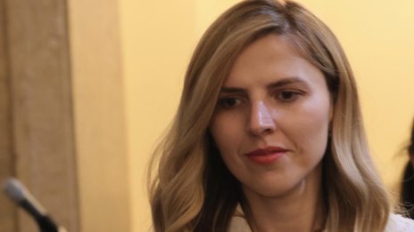 Велислава Петрова &ndash; Чамова и "френското предложение": дипломатът зад рамката за Северна Македония