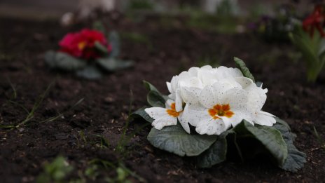 Студен въздух нахлува утре, на места ще превалява дъжд