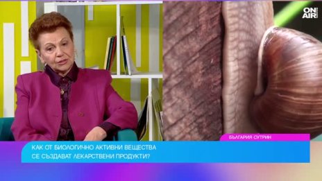 Българският охлюв става все по-ценна суровина за лекарства