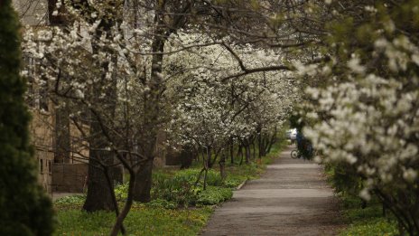Времето утре: Сутрешни слани, облаци и дъжд през деня