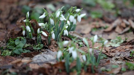 13,9 градуса бяха измерени в Ловеч 