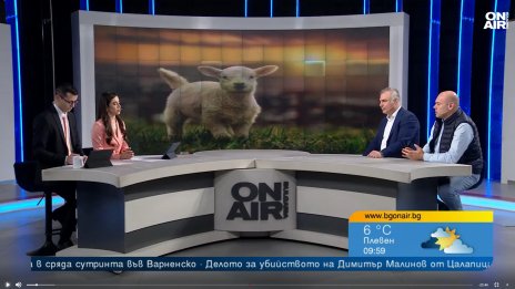 За Великден: Български яйца има, родното агнешко не е достатъчно