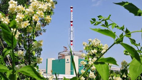 Спират шести блок на АЕЦ "Козлодуй" за планови ремонти