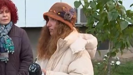 Някой стреля по котки в "Редута", вече две простреляни 