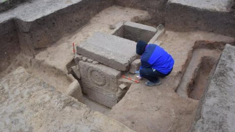  Откриха римска гробница при изкореняване на дърво в Свищов 