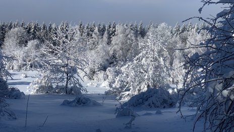 Времето утре: Затопля се, къде ще вали сняг?