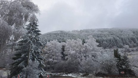 Мистерията "Петрохан": Поръчково убийство, паравоенна организация, връзки с Украйна?