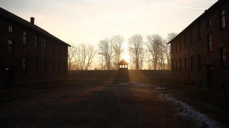 Защо туристи посещават места на зверства?