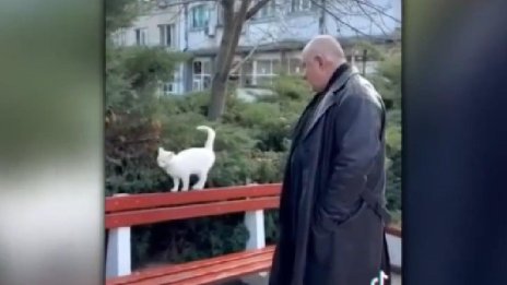 Пеене, музика... Колоритът на изборната кампания