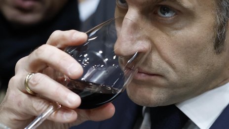 Как винарите от Бордо неохотно угаждат на поколението Z, за да оцелеят? 