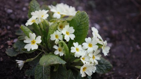 Температури до 17 градуса ни очакват днес