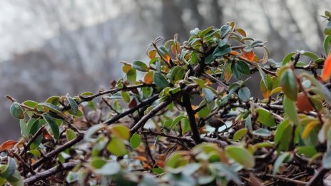 Предимно облачно и мъгливо ще е днес, с температури до 10&deg;