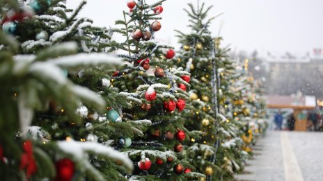 Вятърът отново се усилва утре, студ на Нова година