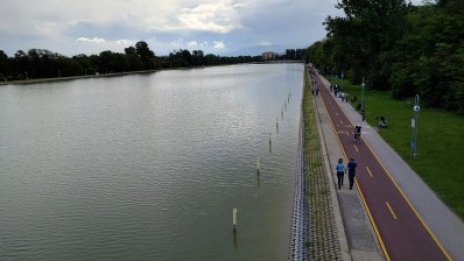 Белият амур спаси Гребния канал в Пловдив от водораслите