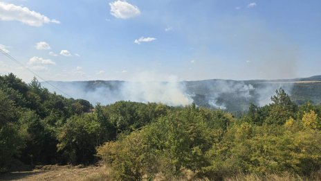 Свидетел на взрива: Видя се жълт дим, замириса на барут