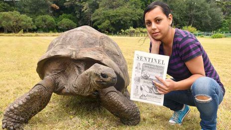 Смъртта на костенурката Джонатан &ndash; най-зловещата първоаприлска шега