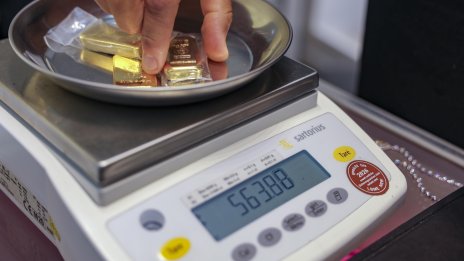 Откриха 10 златни кюлчета случайно при косене на трева в германски град