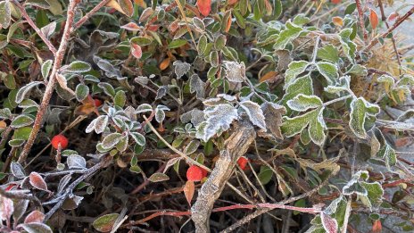 Неделната сутрин ще е мъглива в Дунавската равнина и в котловините