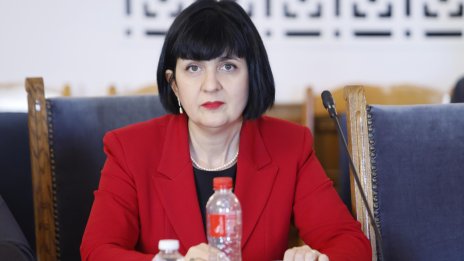 "Величие" поискаха връщане на старите правомощия на президента