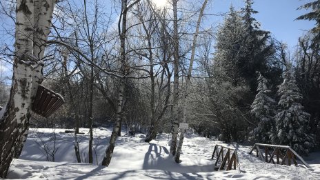 ПСС: В планините е слънчево и тихо