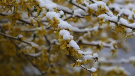 Времето утре: Ветровито, облачно с валежи от дъжд и сняг