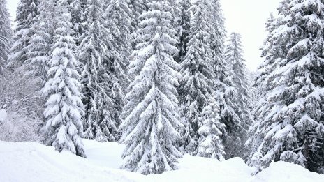 Трети ден бедствено положение в смолянските села Мугла и Киселчово