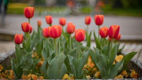 Времето днес: Слънчево, термометърът ще удари 18&deg;