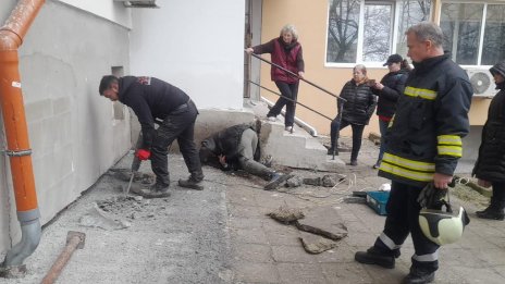 Зазидаха коте в блок в Бургас, строителите отказали да го спасят с дни ВИДЕО