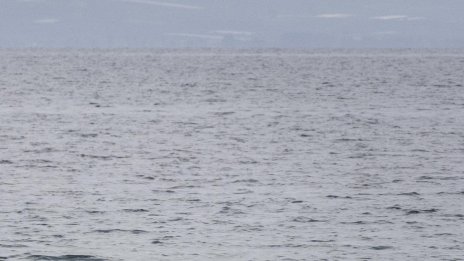 Мъж от София се удави в морето в Царево