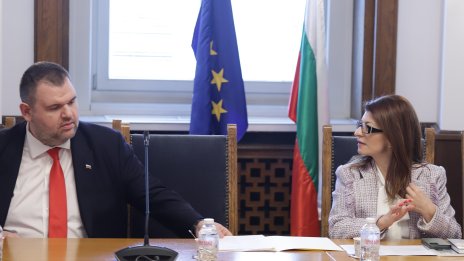 Скандалът "Пеевски&ndash;Атанасова": Кой има правото на достъп до данни за пътниците в PNR системата