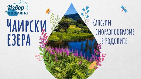 Световният ден на Земята ни припомня: Има скрити герои в природата, които си струва да опазим