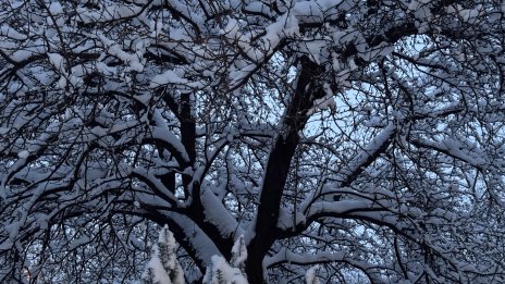 Времето днес: Мразовита сутрин, през деня ще се затопли