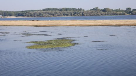 Дунав при Русе падна до минус 123 сантиметра